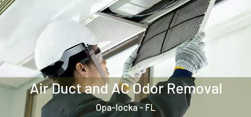 Air Duct and AC Odor Removal Opa-locka - FL