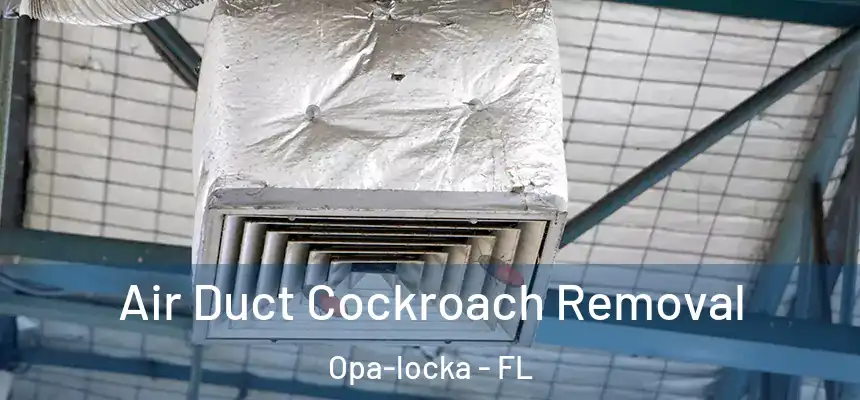 Air Duct Cockroach Removal Opa-locka - FL