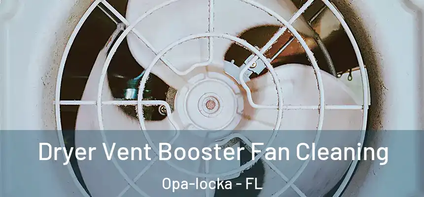 Dryer Vent Booster Fan Cleaning Opa-locka - FL
