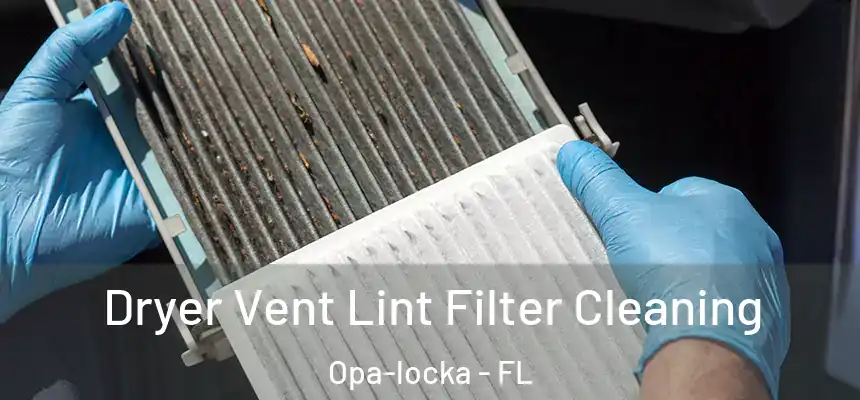 Dryer Vent Lint Filter Cleaning Opa-locka - FL