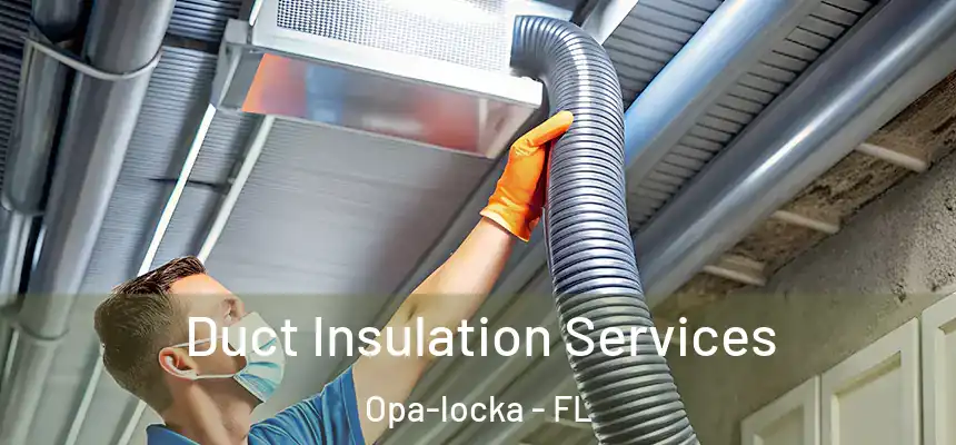 Duct Insulation Services Opa-locka - FL
