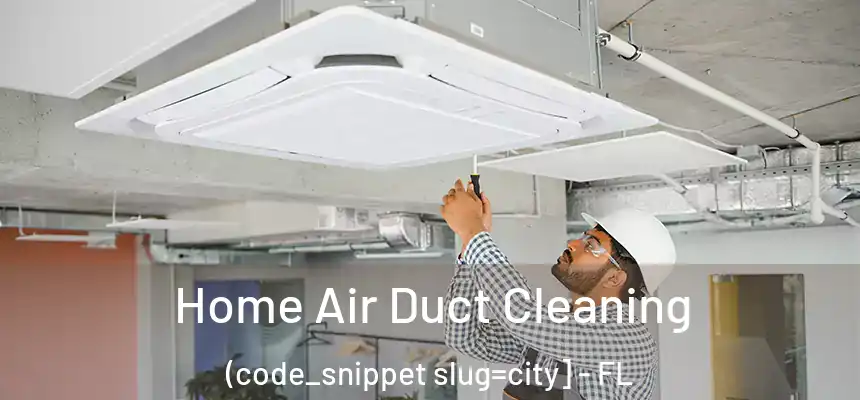  Home Air Duct Cleaning (code_snippet slug=city] - FL