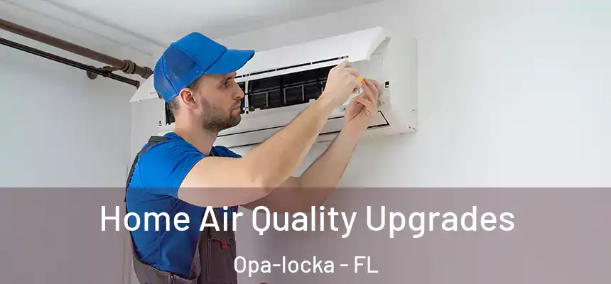 Home Air Quality Upgrades Opa-locka - FL