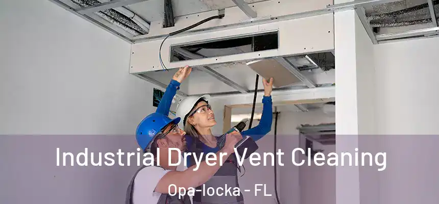 Industrial Dryer Vent Cleaning Opa-locka - FL