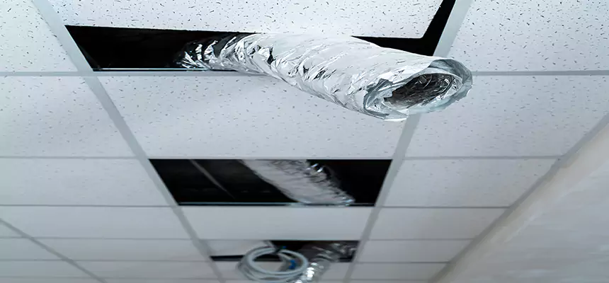 Our Air Duct Pet Hair Removal Services in Opa-locka, FL