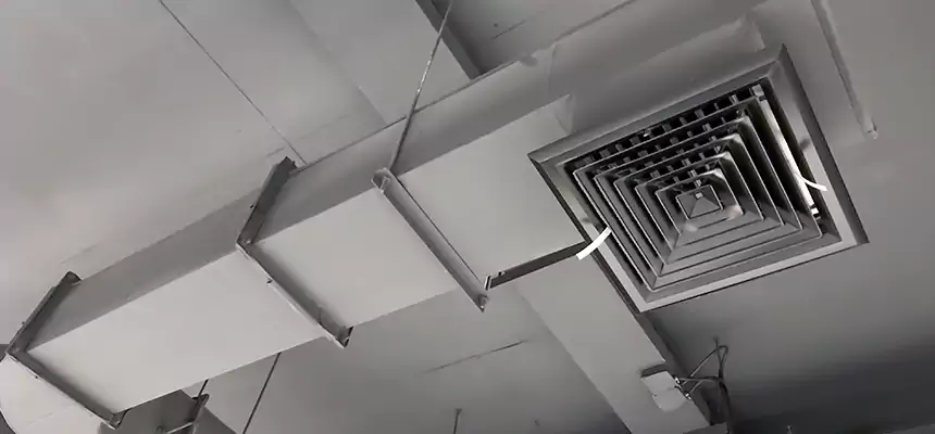 Our Pest Removal From Ducts Services in Opa-locka, FL