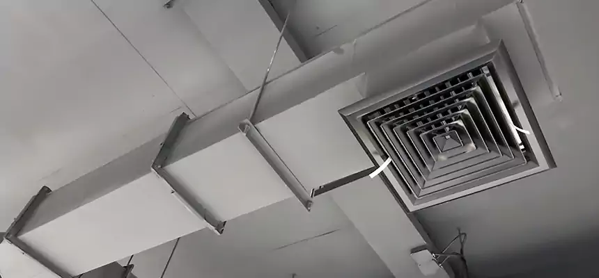 Our Rodent Droppings In Vents Services in Opa-locka, FL