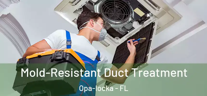Mold-Resistant Duct Treatment Opa-locka - FL