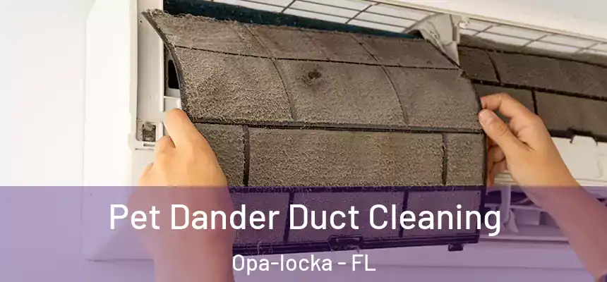 Pet Dander Duct Cleaning Opa-locka - FL