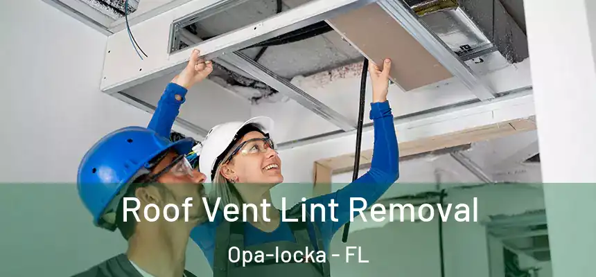 Roof Vent Lint Removal Opa-locka - FL