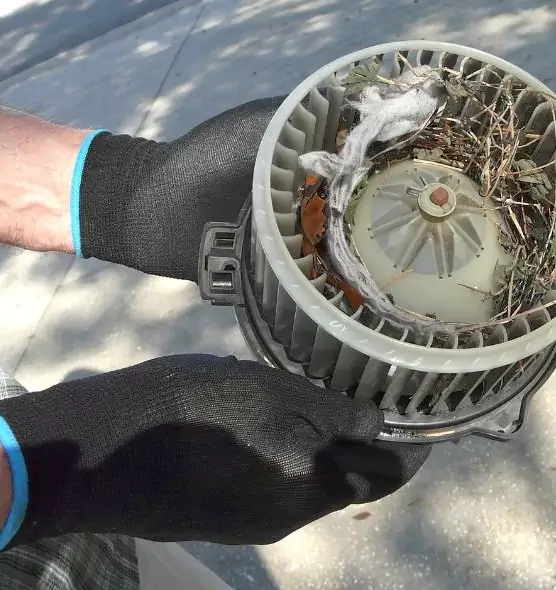 About Air Duct Mice Removal in Opa-locka, FL