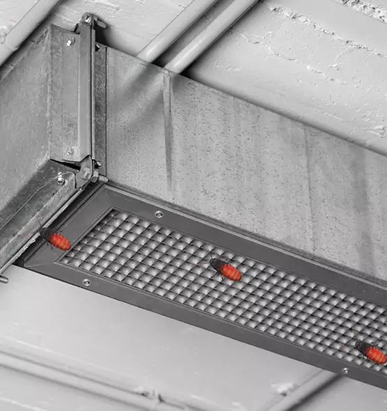 Affordable Insect Removal from Air Ducts in Opa-locka, FL