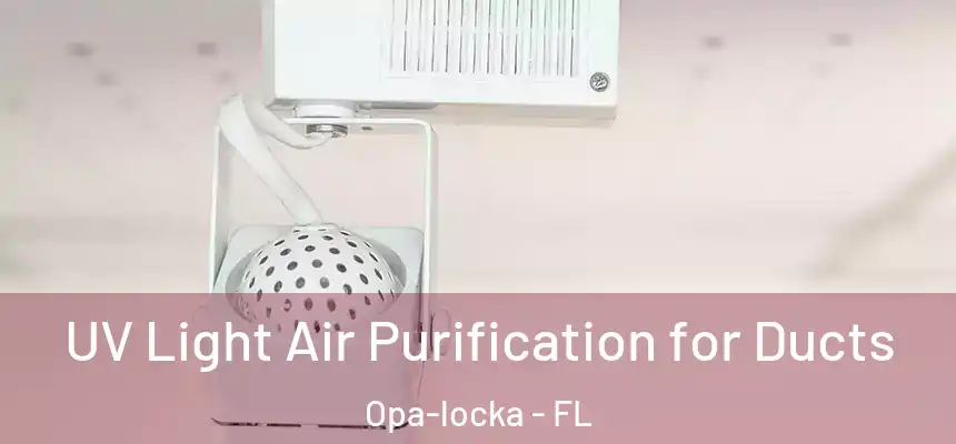  UV Light Air Purification for Ducts Opa-locka - FL
